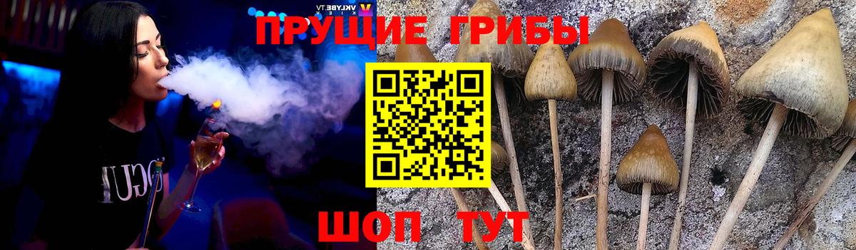 Псилоцибиновые грибы MAGIC MUSHROOMS  Вход с VPN  Куйбышев 